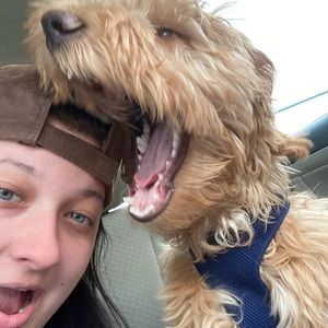 Meet your Posher, Josie